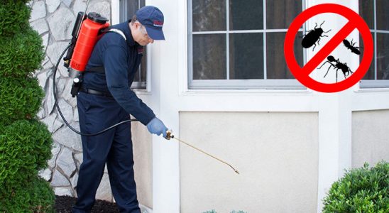 Menemen Gümüşkurt İlaçlama böcek ilaçlama ve haşere kontrolü — ilaclama-tr.com